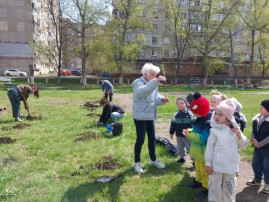 Экоакция "Посади дерево" Экоакция "Посади дерево".