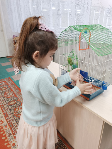 Все о попугаях Все о попугаях.
